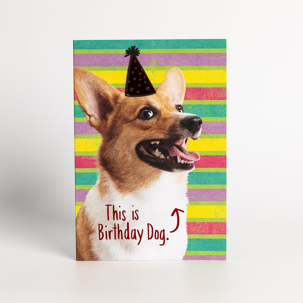 Bring Your Own Party Hat Birthday Card